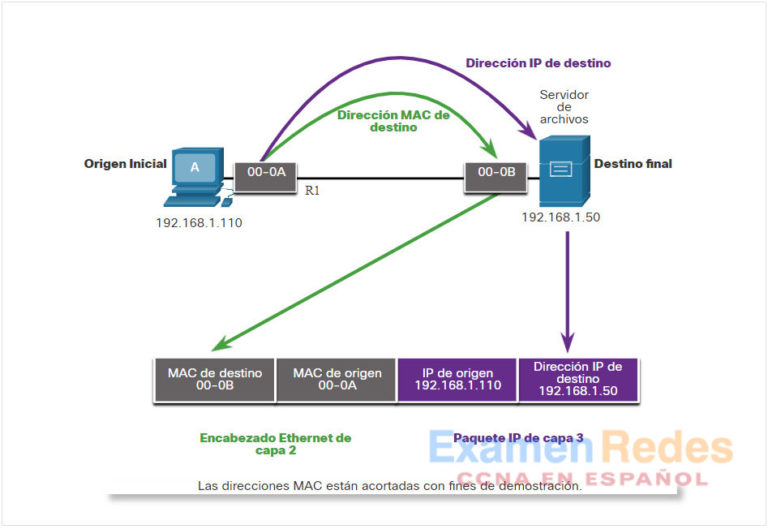 Módulo 8 Protocolo de resolución de direcciones