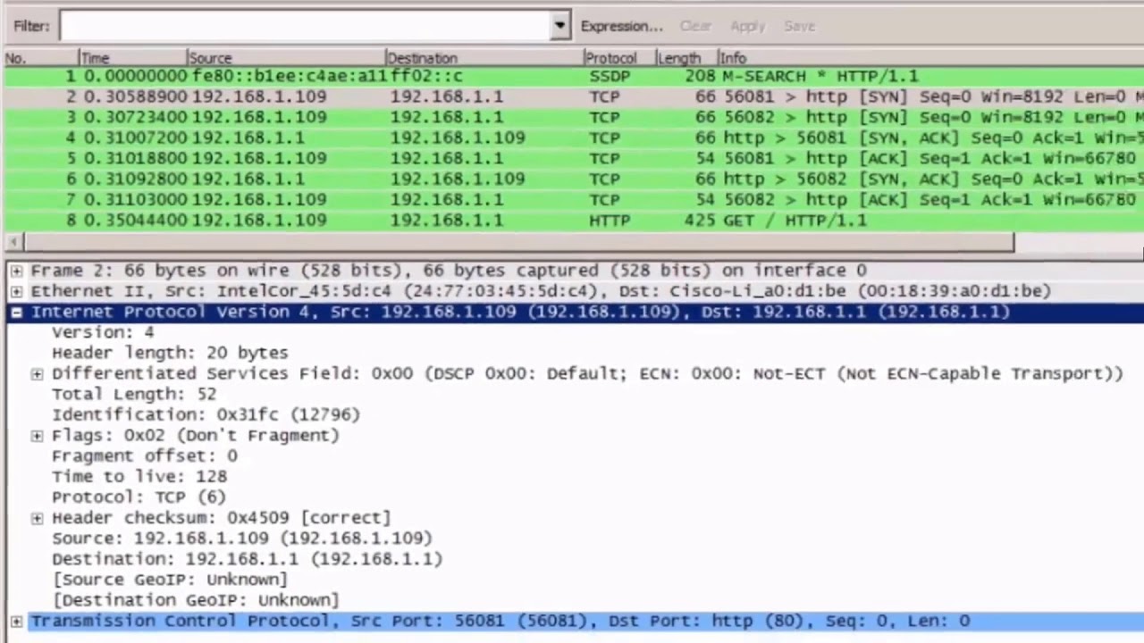 Sample IPv4 Headers in Wireshark