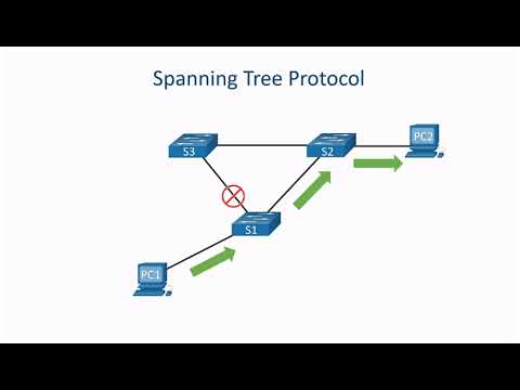 Observe STP Operation