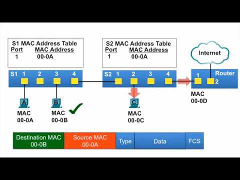MAC Address Tables on Connected Switches