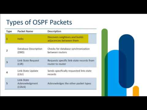 OSPF Packets