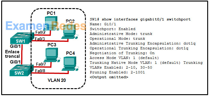 Módulos 1 - 4 Examen de conceptos de conmutación, VLAN y enrutamiento entre VLAN Respuestas 25