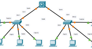 14.3 5 packet tracer basic router configuration review