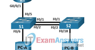SRWE Final PT Skills Assessment (PTSA)