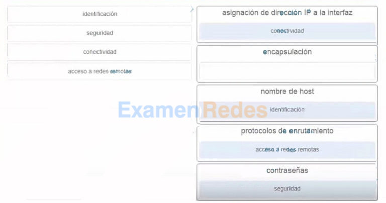CCNA 3 Examen del Capítulo 1 de ScaN v6.0 Respuestas