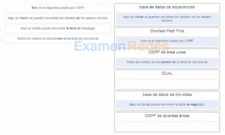 CCNA 3 Examen Final de ScaN v6.0 Preguntas y Respuestas