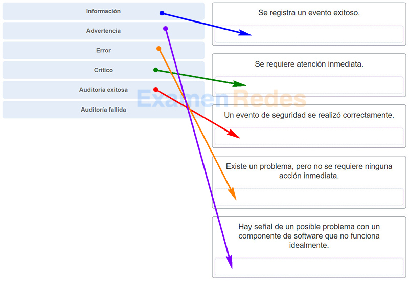 IT Essentials (Version 7.00) - Examen del capítulo 11 de IT Essentials 7.0 Respuestas Español