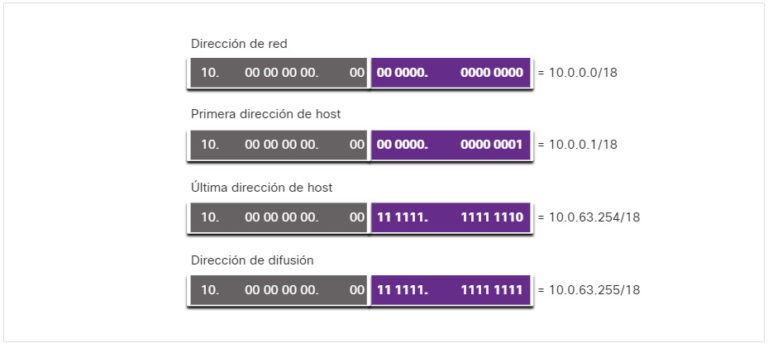 CCNA 1 Versión 7: Módulo 11 - Asignación De Direcciones IPv4