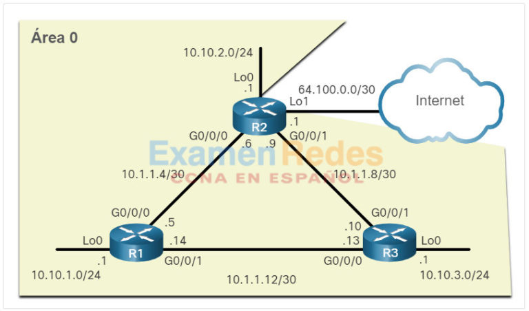 CCNA 3 Versión 7: Módulo 2 - Configuración de OSPFv2 de área única