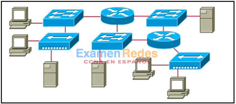 Широковещательный домен. Network layers devices. The topology of the Company's local Network.